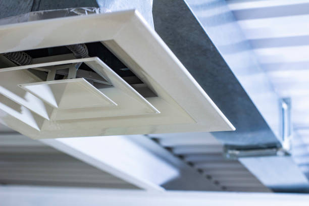 Best Local Air Duct Cleaning Services  in Lely Resort, FL