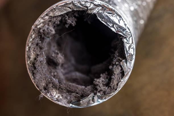 Best Dryer Vent Cleaning Services  in Lely Resort, FL